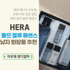 헤라 남자화장품 옴므 블루 에센스 2종 후기｜단종된 에너지 리부팅 대체템 추천