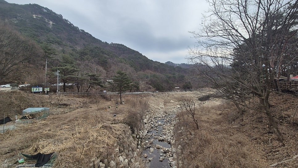 냉장골 사진 5