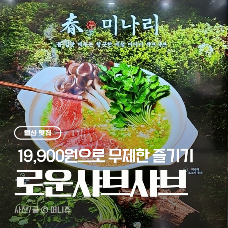 [일산] 일산 가족외식 추천! 로운 샤브샤브 뉴코아 일산점 지금은 향긋한 미나리 축제 중
