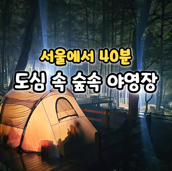  도심 속 숲속 야영장, 용인자연휴양림 캠핑 후기