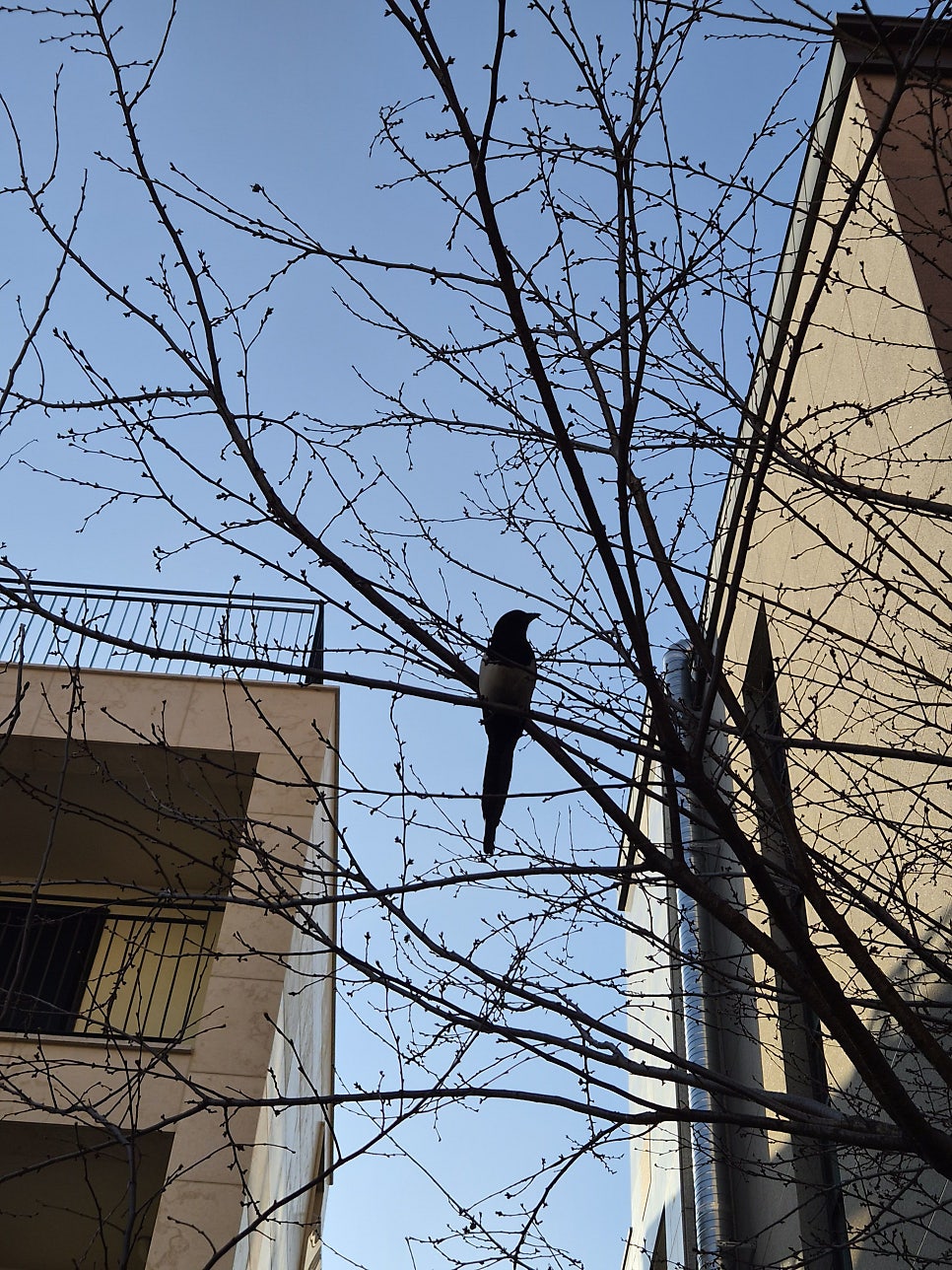 에즈라커피랩 사진 1