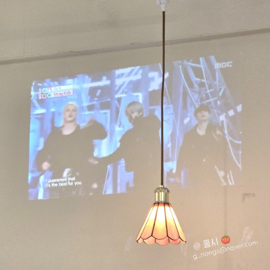 젤라떼리아 피오니 사진 6