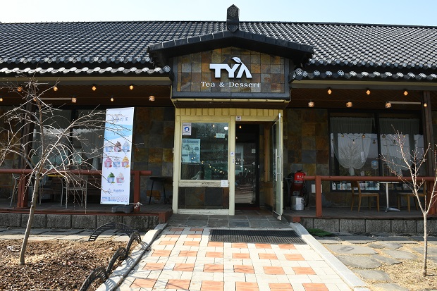 티야 사진 2