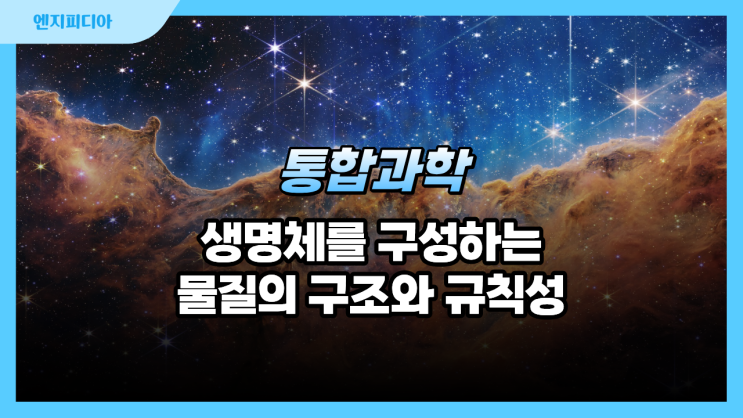  생명체를 구성하는 물질의 구조와 규칙성