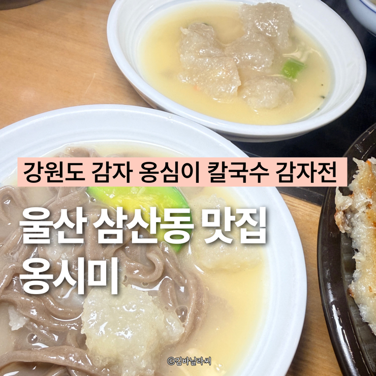  울산 삼산동 맛집 옹시미 울산병원 근처 감자옹심이 전문 점심 밥집