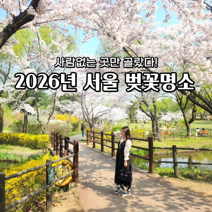  2026 서울 벚꽃 개화시기 여유로운 나만의 숨은 벚꽃 명소 TOP 3