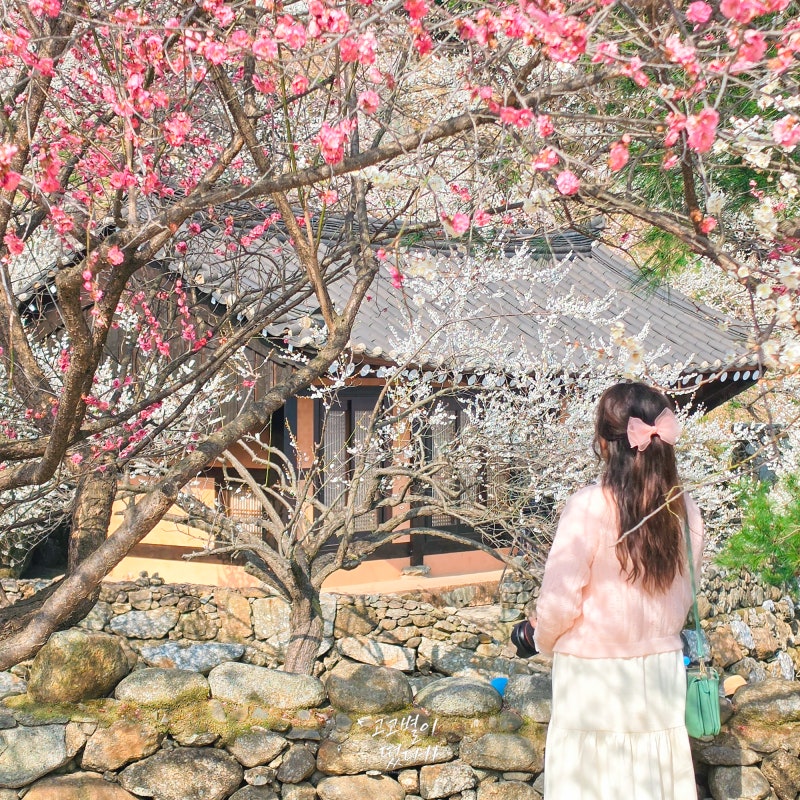 사진 3