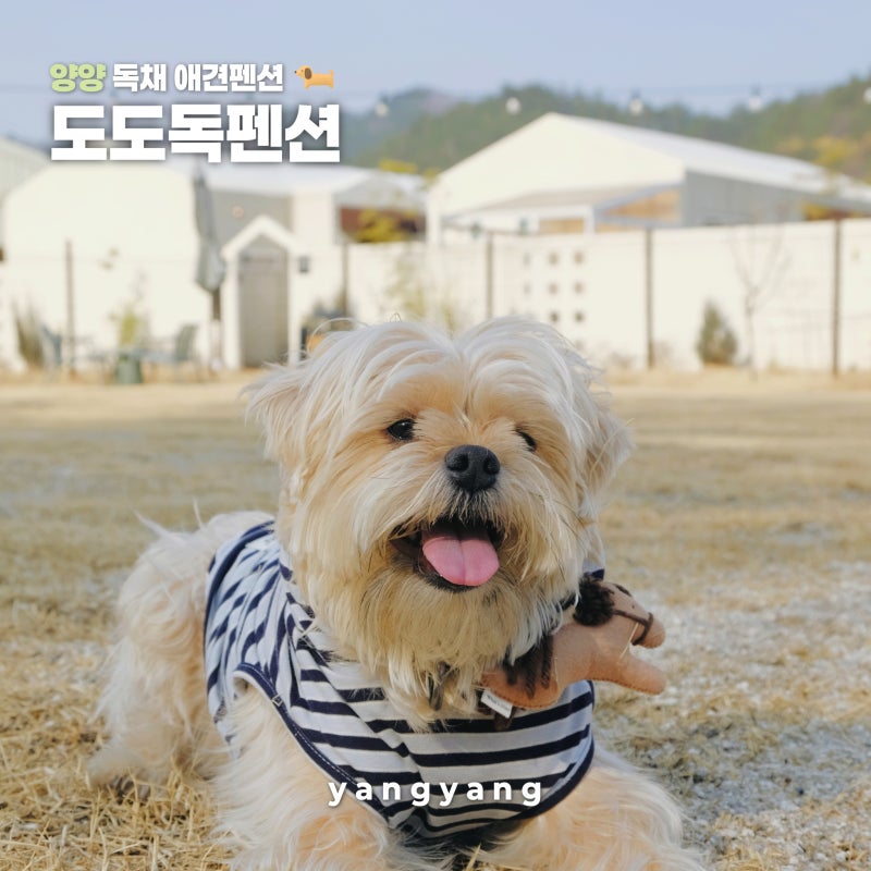 사진 4