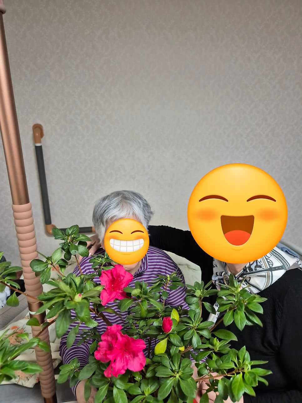 차림 사진 3
