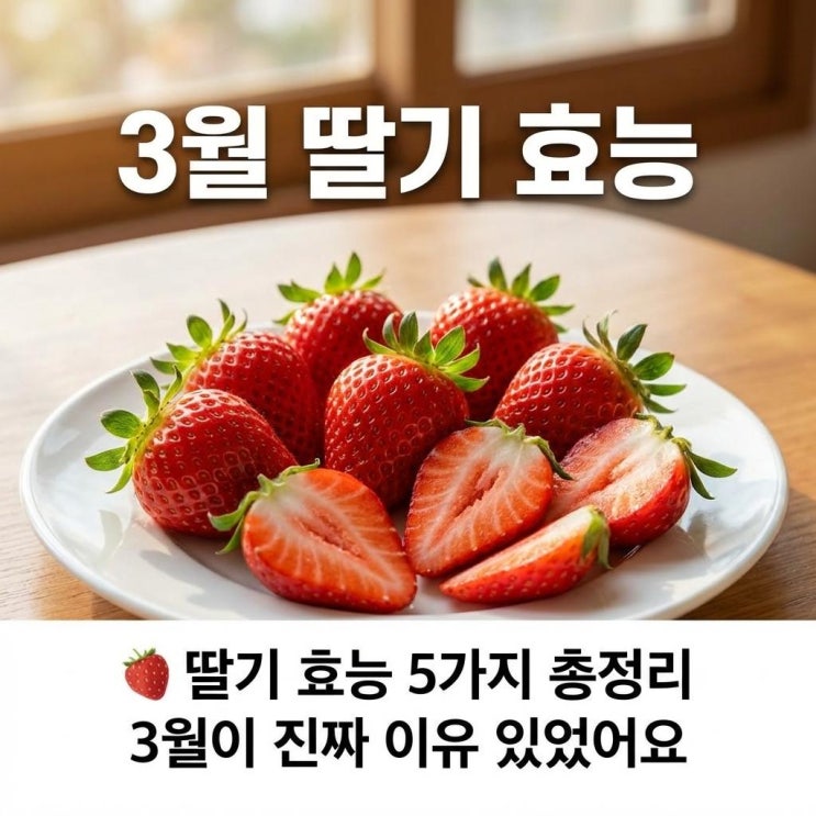  딸기 효능 5가지 총정리 | 3월이 진짜 이유 있었어요