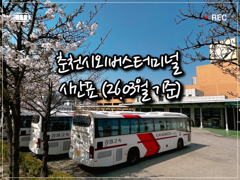 춘천 시외버스터미널 시간표 (2026년 3월 기준) | 물품보관함