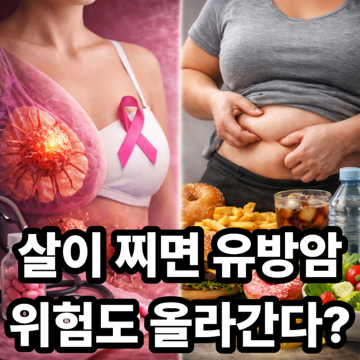  유방암과 비만, 체중 관리가 중요한 이유  놓치기 쉬운 핵심 포인트