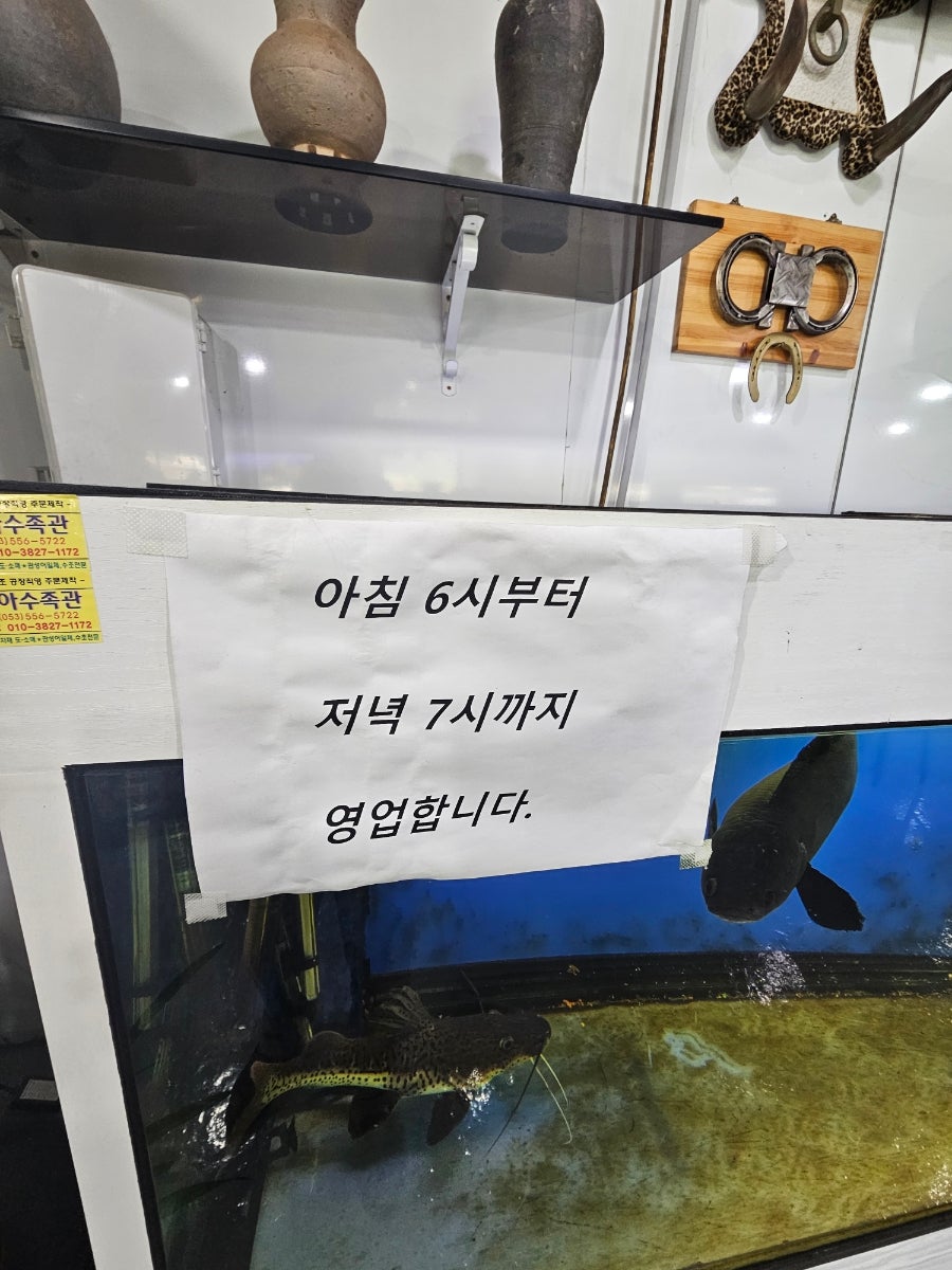 언덕위빨간집 사진 1