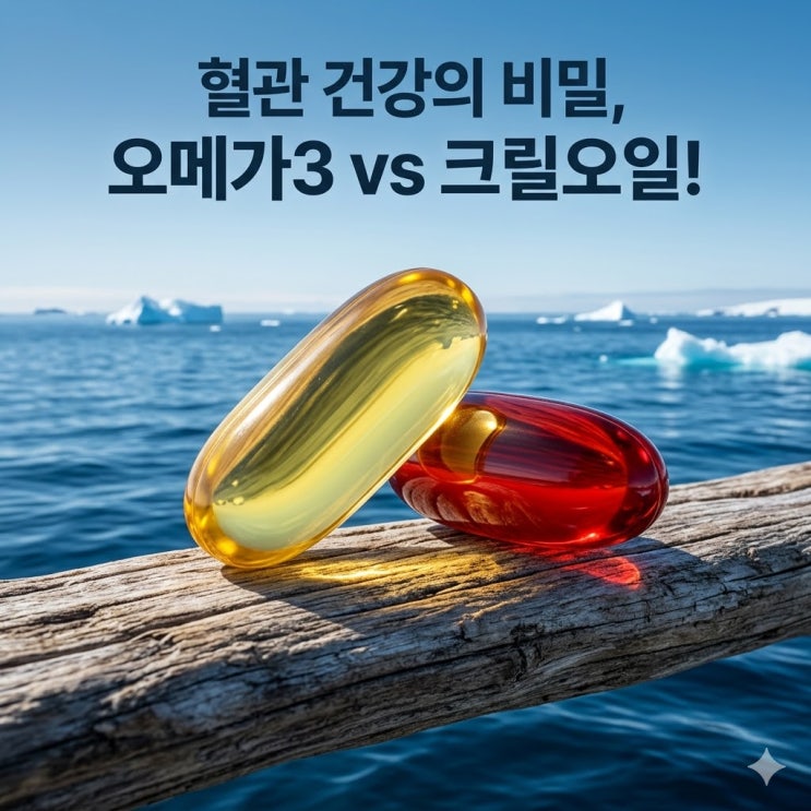  크릴오일 오메가3 대신 먹어도 되나요? 흡수율과 함량의 차이 완벽 분석