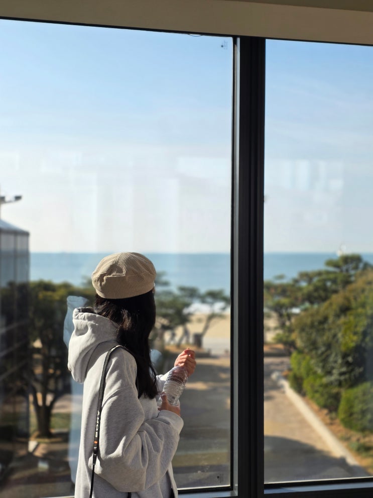  부산 파라다이스 호텔 예약 팁  신관 오션뷰 부산 해운대 호텔 추천