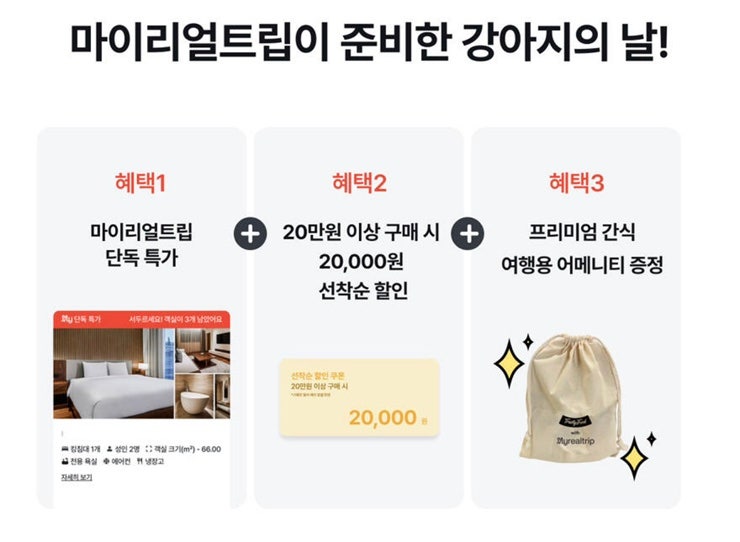 사진 9