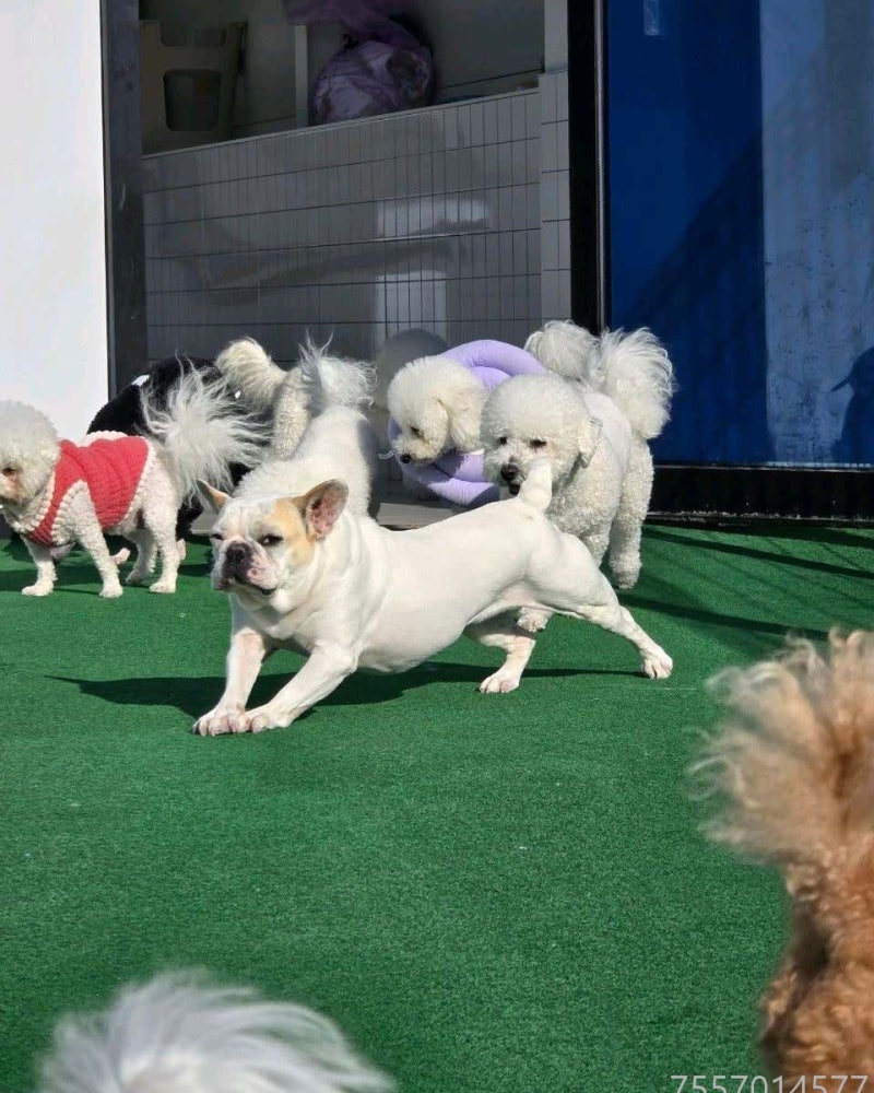사진 4
