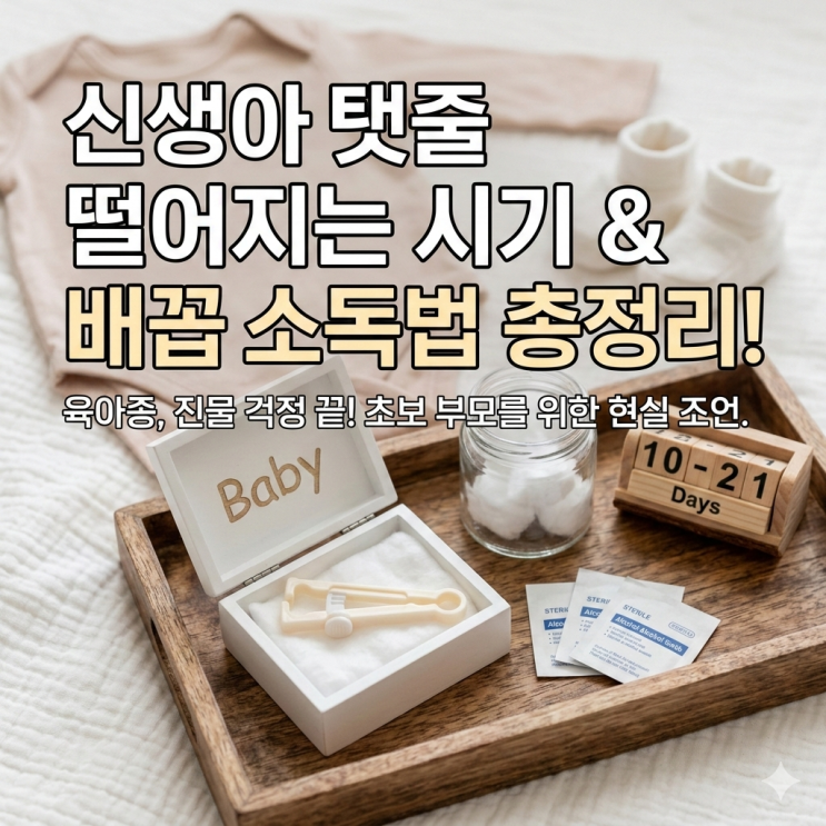  신생아 배꼽 떨어지는 시기 및 육아종 알코올 솜 소독 방법, 초보 아빠의 현실 경험담