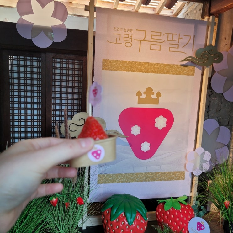  경복궁역팝업정보: [고령 구름 딸기] 후기