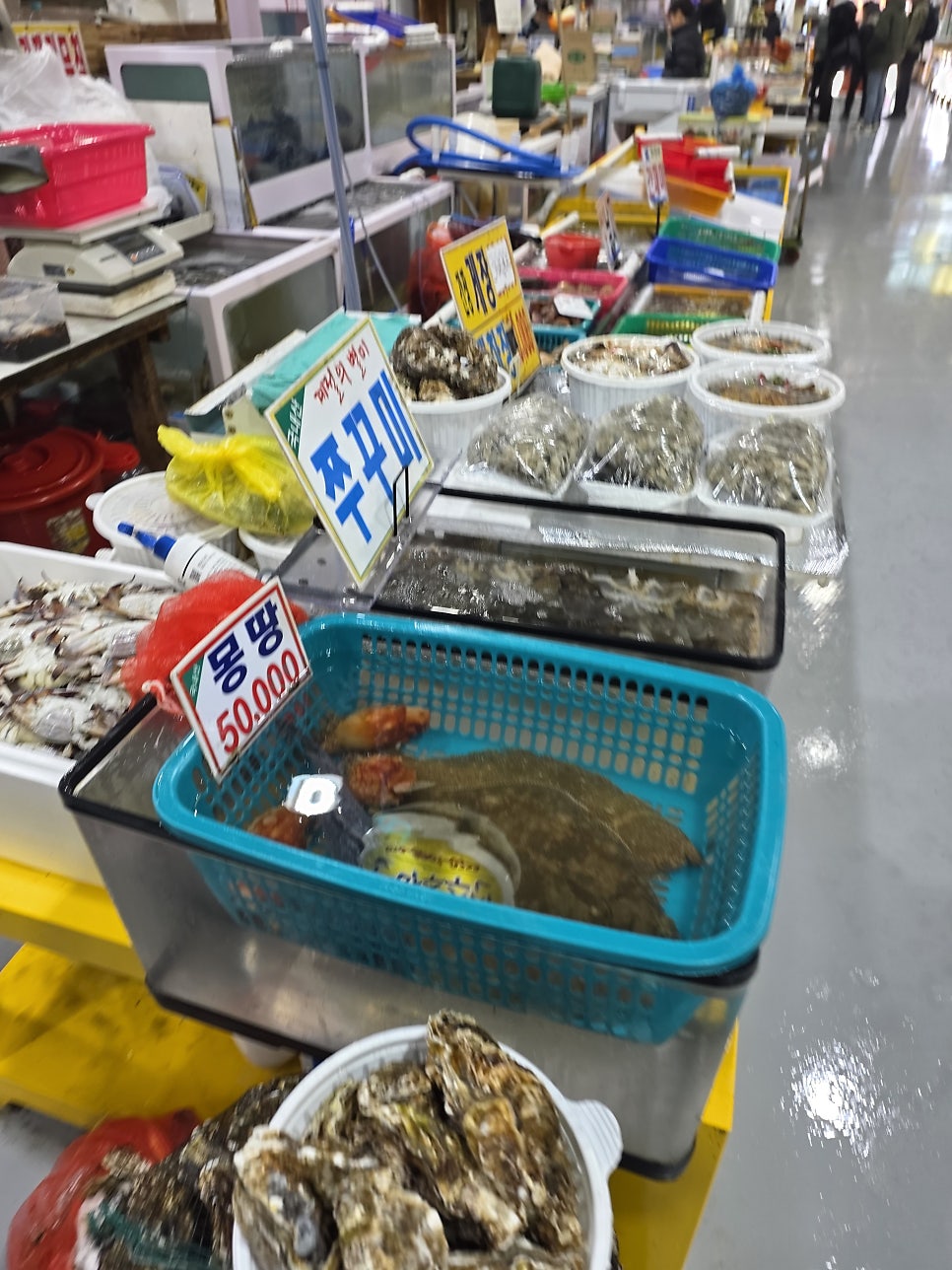 은하수수산 사진 5