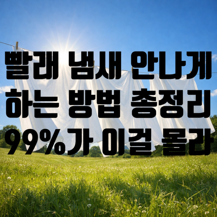  빨래 냄새 안 나게 하는 방법 총정리 (99%가 모르는 원인까지)