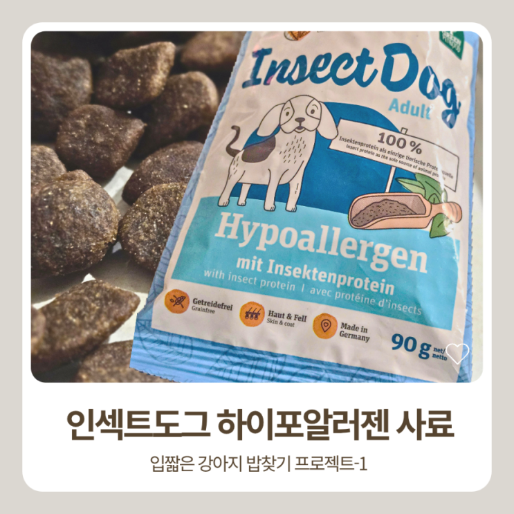  인섹트도그 하이포알러지 빅 어덜트 독일 강아지사료 후기