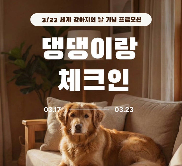 사진 8