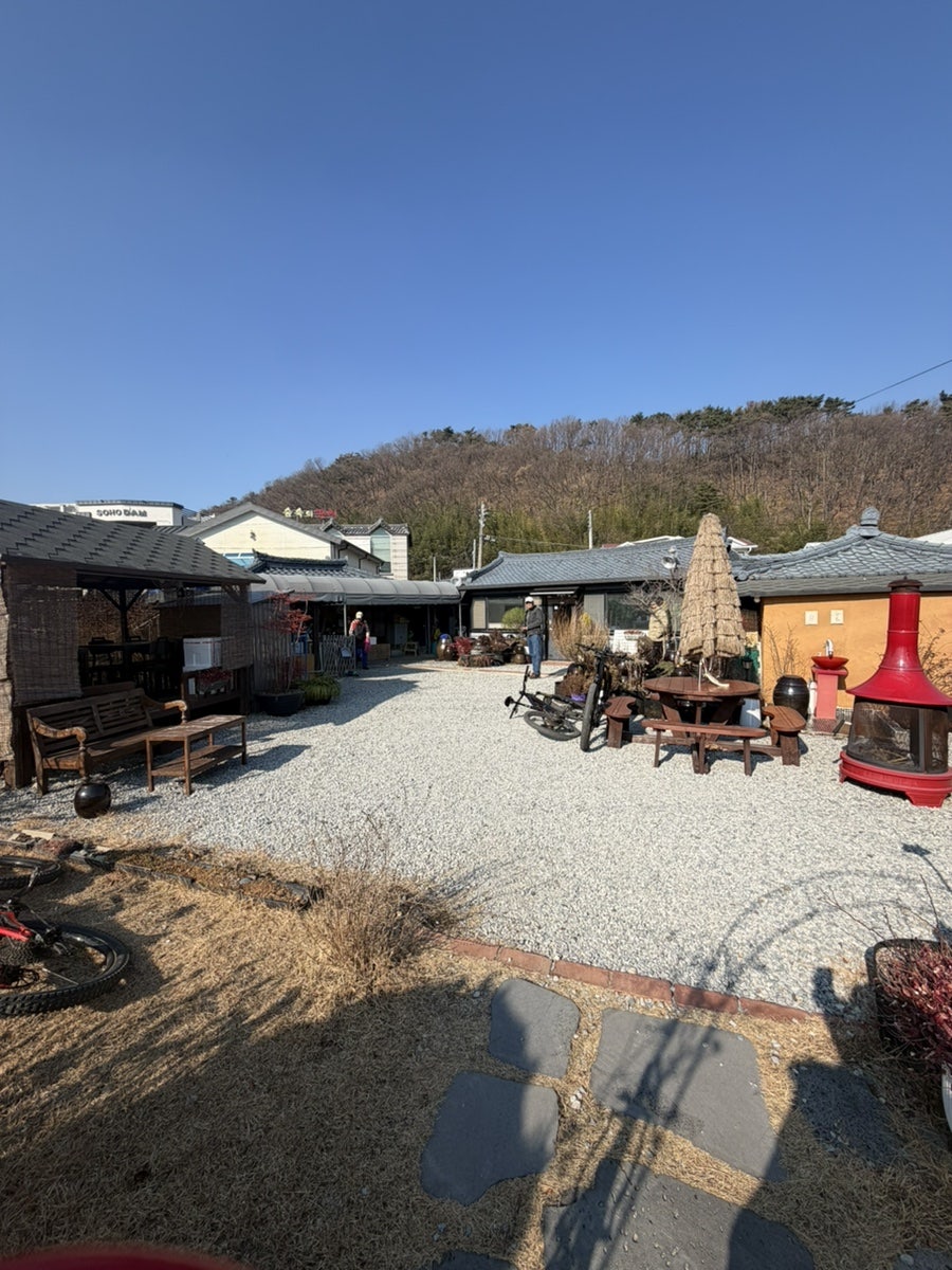 소나무집 사진 5