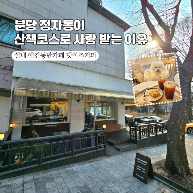  분당 정자동 실내 애견동반 카페 댓이즈커피  주택전시관 산책 후 들린 갓성비 핫플 (feat. 요물 버터떡!)