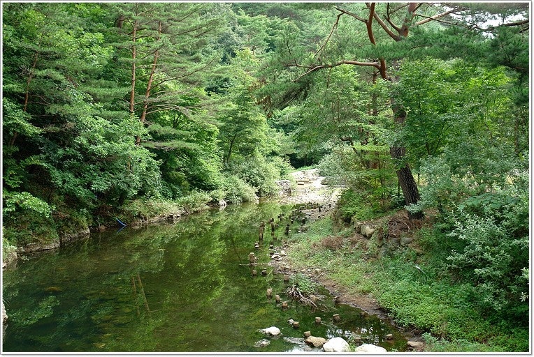 본신계곡 사진 3