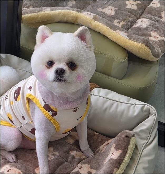 사진 8