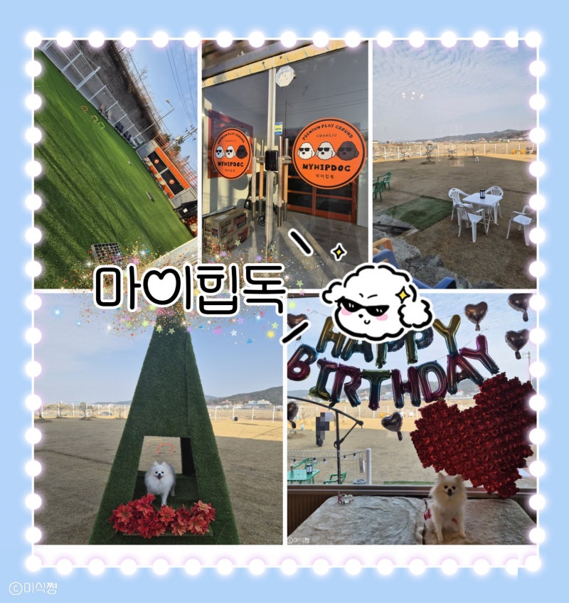 사진 4