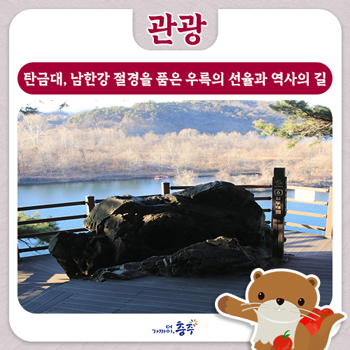 사진 4