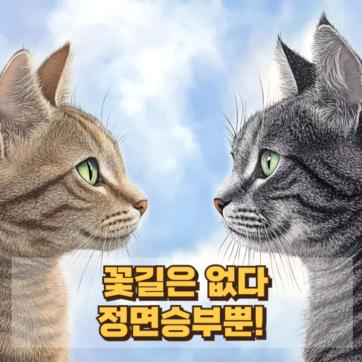  대전시장 경선 : 장철민·장종태·허태정 | 충남지사 경선 : 박수현·양승조·나소열