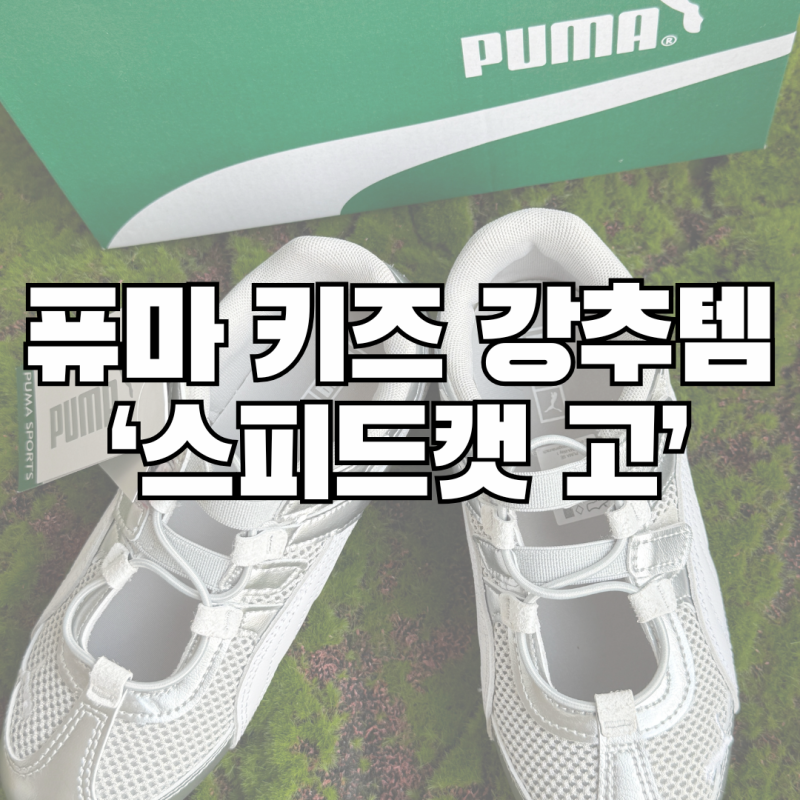 퓨마 키즈 스피드캣 고 후기｜가볍고 편한 유아 운동화