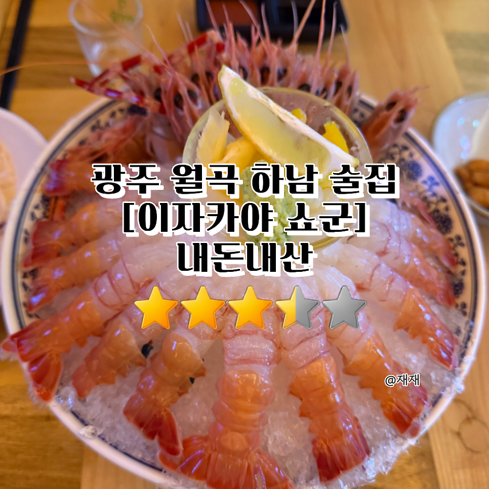 쇼군 사진
