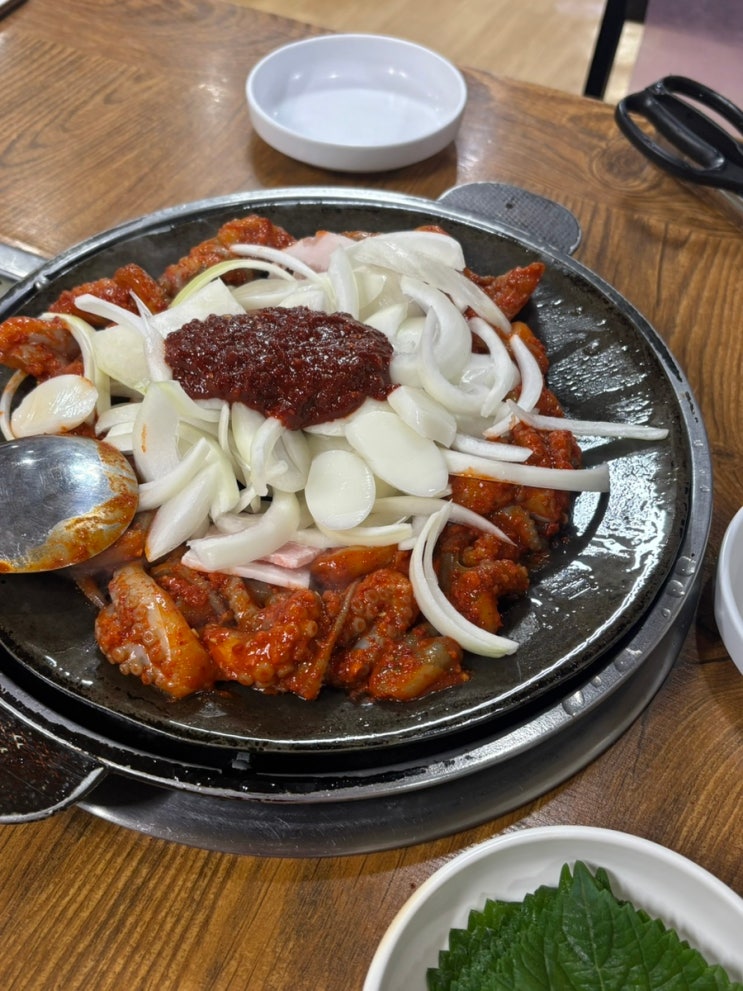  군자역 먹자골목 맛집 • 쭈꾸미계의 엽떡 용두동할매쭈꾸미