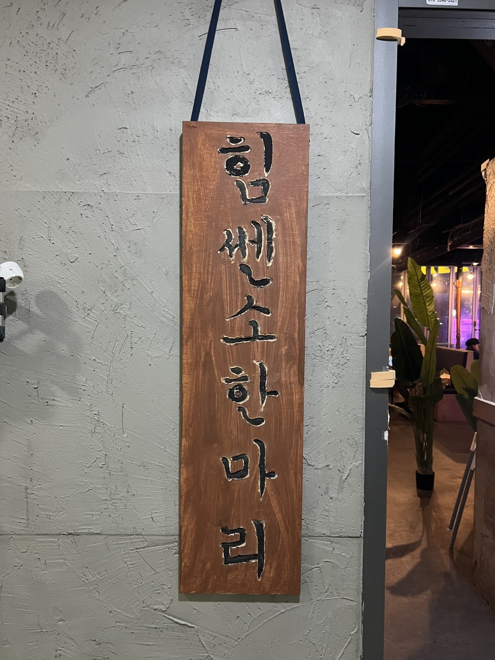 힘쎈소한마리 사진 2