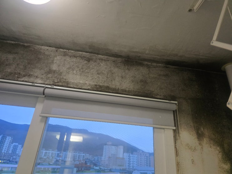  부산곰팡이청소 진해드림빌 베란다와 창틀 심한 곰팡이 해결 현장