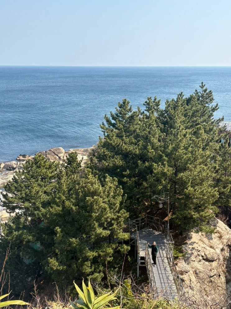  강원도 속초 가족여행 2박 3일 코스 1일차 (등대, 족욕, 척산온천, 속초시장, 속초 놀거리) | 