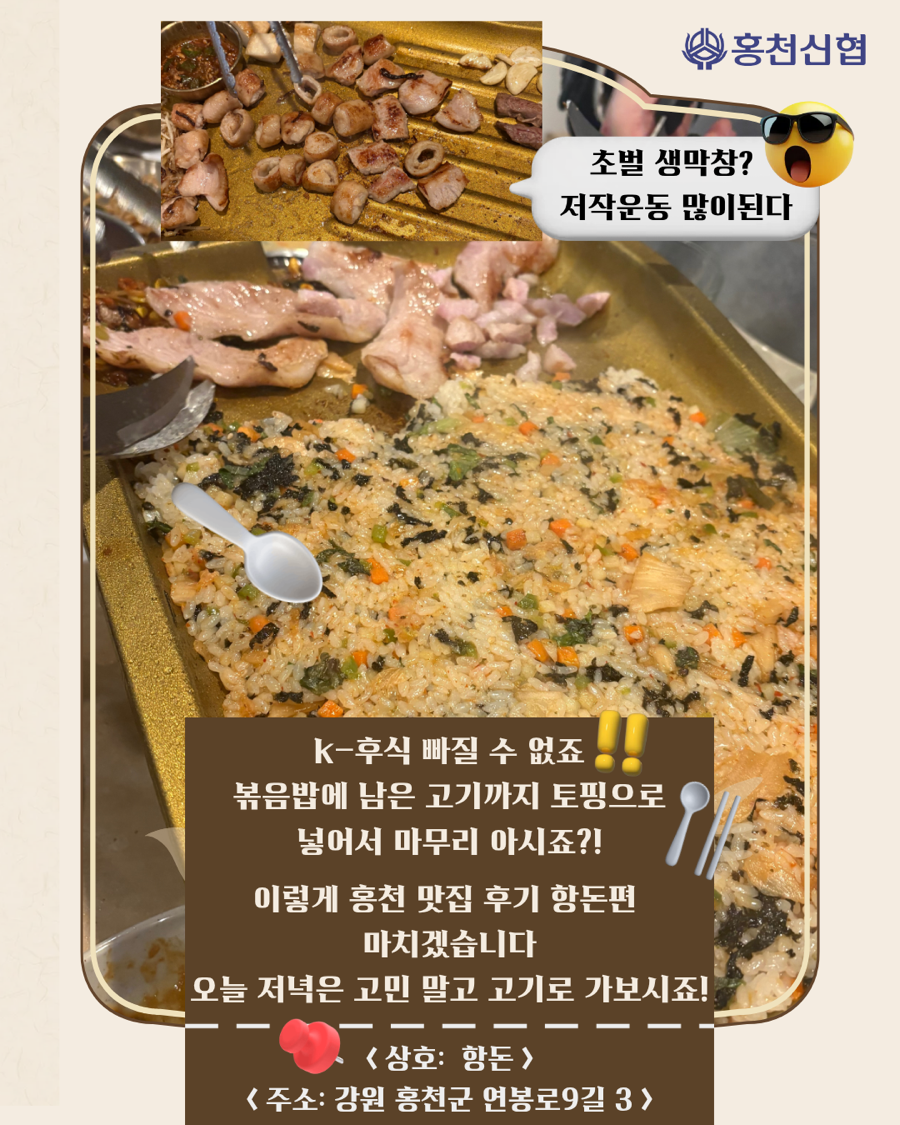 항돈 사진 5
