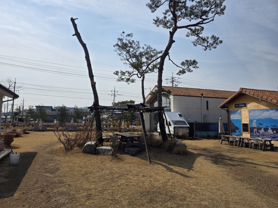 테아 베이커리카페 사진 4