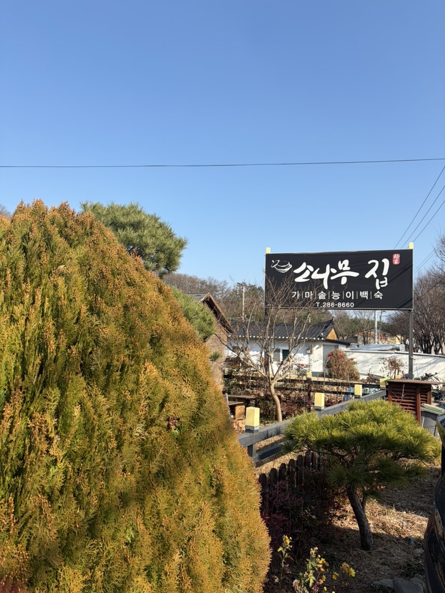 소나무집 사진 4