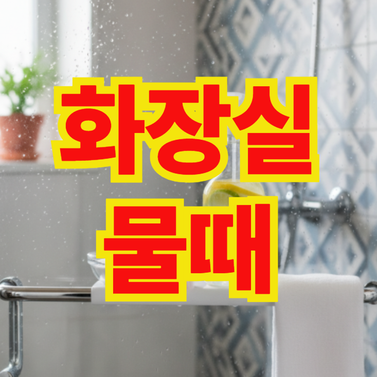 화장실 물때 제거, 다이소 제품부터 과탄산소다와 구연산, 식초 치약까지 모든 방법과 세제 ....