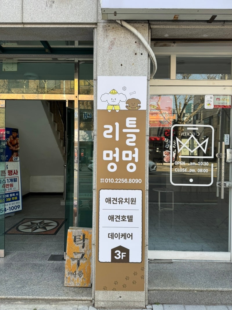 사진 5