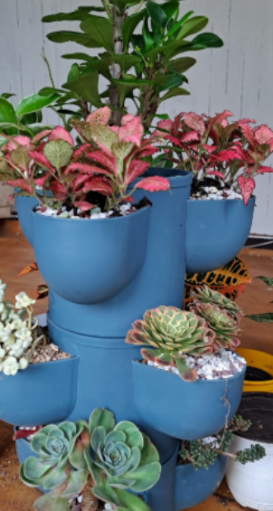 일상이 풍성하고 행복해지는 반려식물용품 전문 쇼핑몰 !