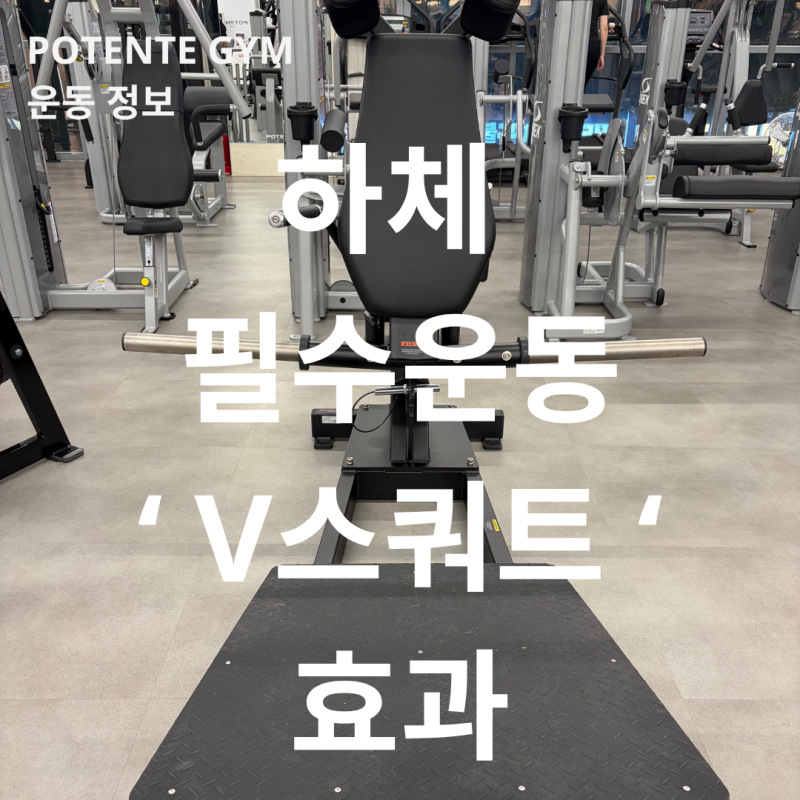 [발산역헬스장/마곡헬스장] V스쿼트 머신 효과 있을까? 하체 자극 제대로 만드는 방법