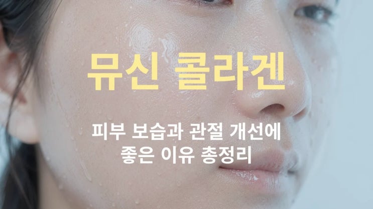  뮤신 콜라겐, 피부 보습과 관절 개선에 좋은 이유 총정리