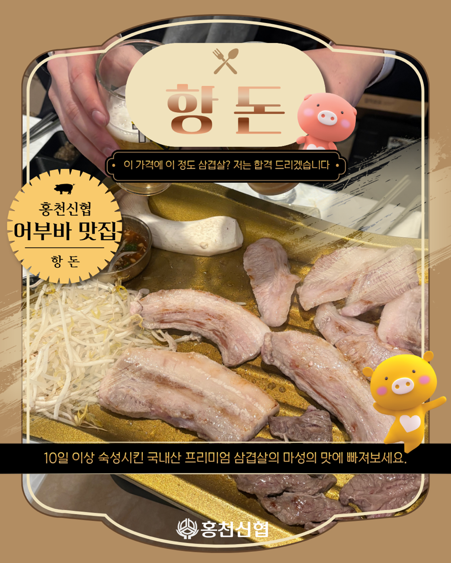 항돈 사진 1
