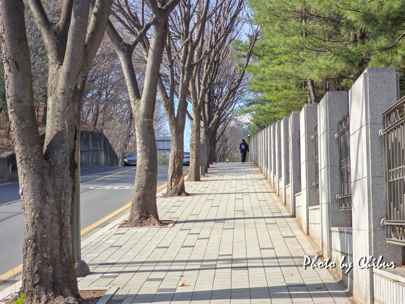 사진 7